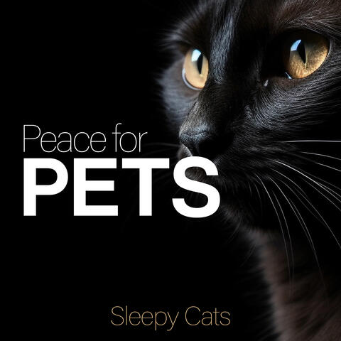 Peace for Pets