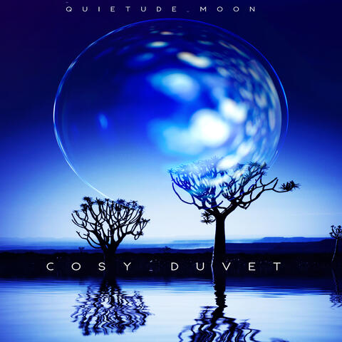Cosy Duvet