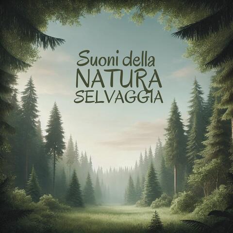 Suoni della natura selvaggia