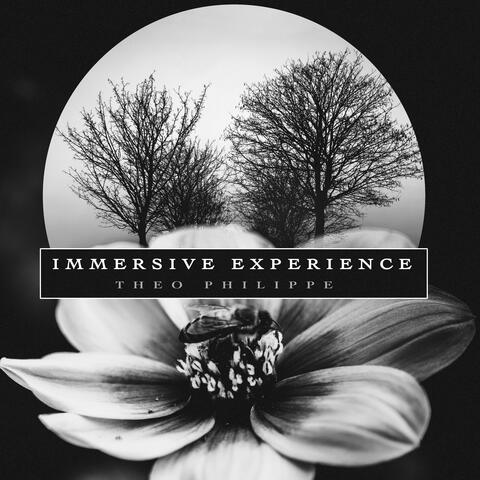 Immersive Experience