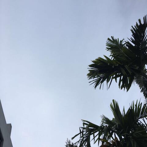 Đặt Chân Nơi Xa Lạ