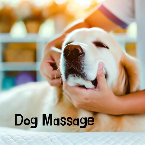Dog Massage: Pawsitive Pain Relief