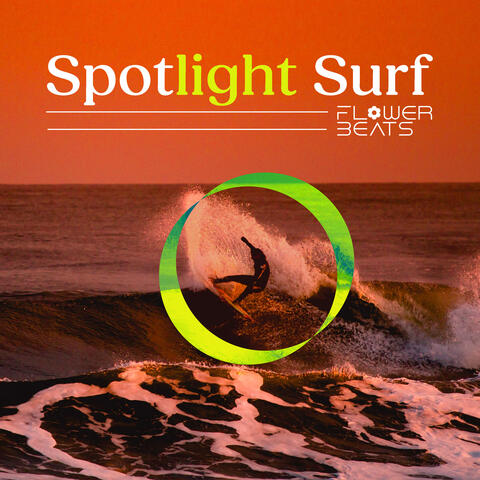 Spotlight Surf