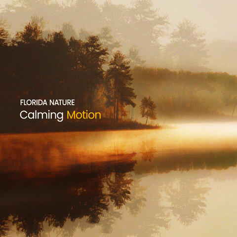 Calming Motion