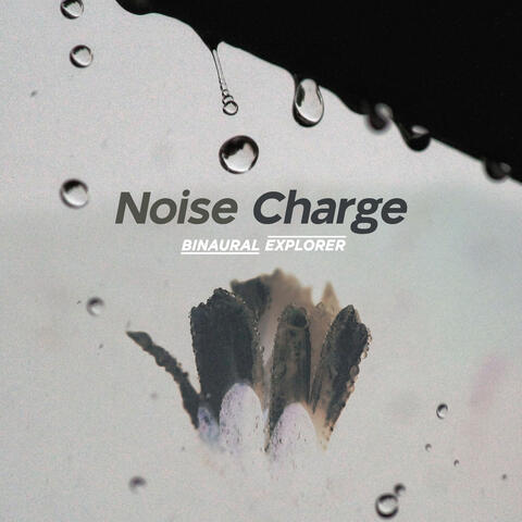 Noise Charge