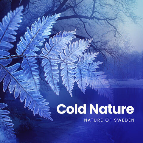 Cold Nature