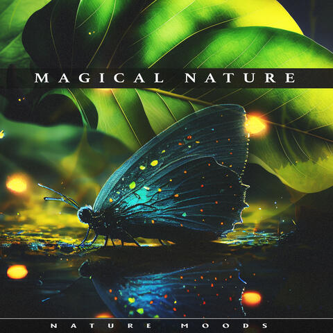 Magical Nature