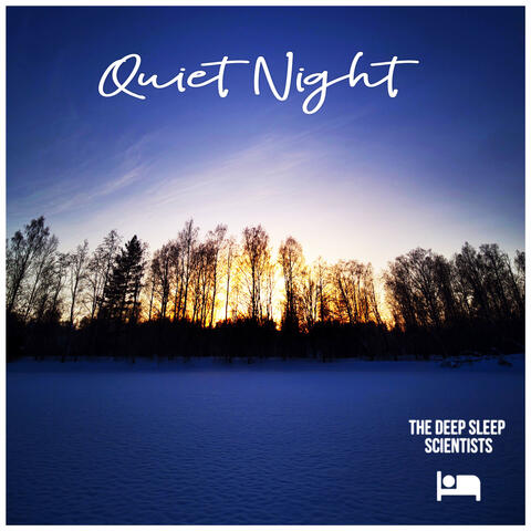 Quiet Night