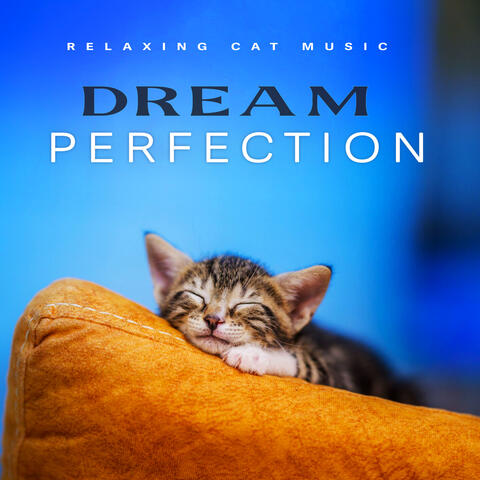 Dream Perfection