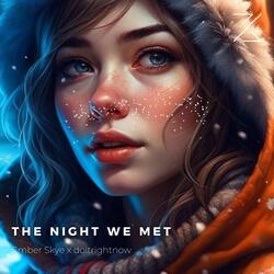 THE NIGHT WE MET