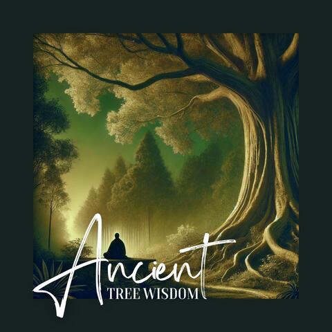 Ancient Tree Wisdom: Buddhist Peace Journey