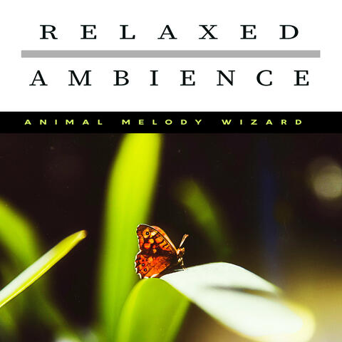 Relaxed Ambience