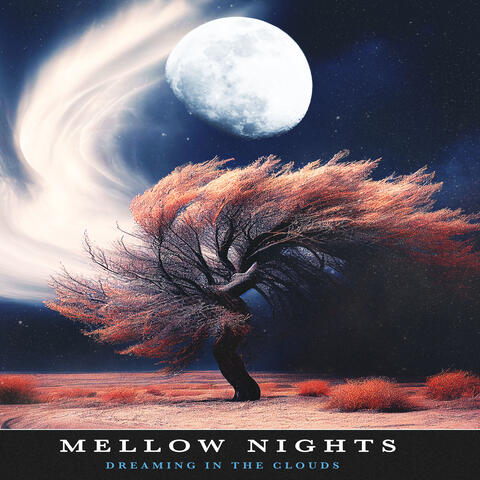 Mellow Nights