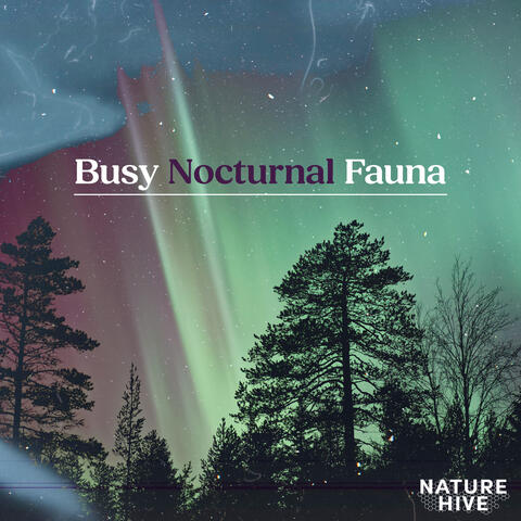 Busy Nocturnal Fauna