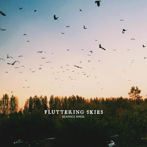 Fluttering Skies