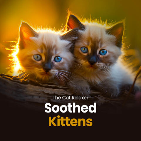 Soothed Kittens