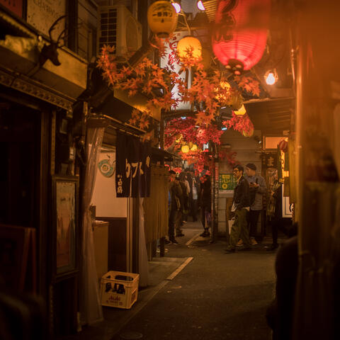 Sakura Evening Echoes