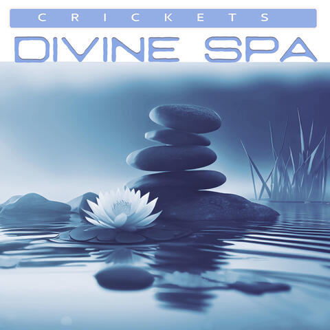 Divine Spa