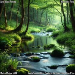 Gentle Sound of River Flowing in the Forest, Constant Flow
