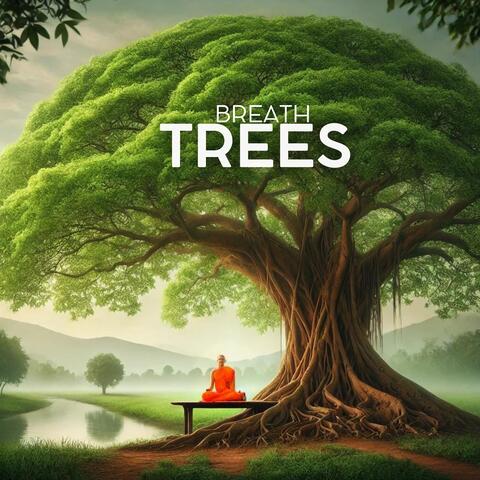 Breath Trees: Ancient Forest Meditation