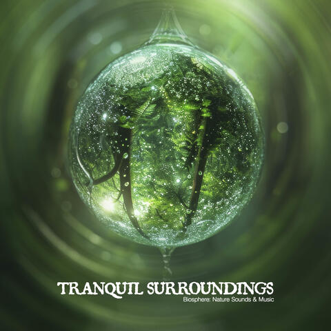 Tranquil Surroundings