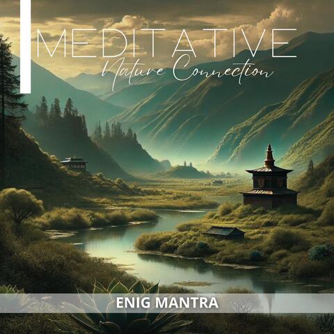 Meditative Nature Connection