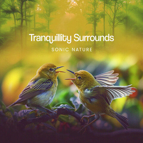 Tranquillity Surrounds