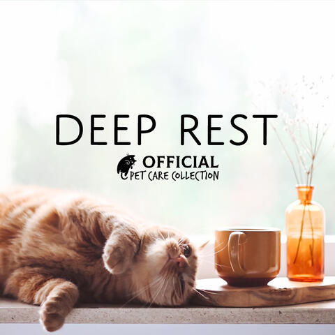 Deep Rest