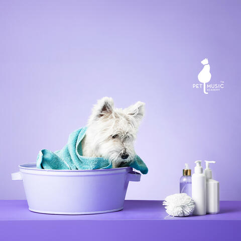 Furry Spa Moments: Relaxing Bath Time
