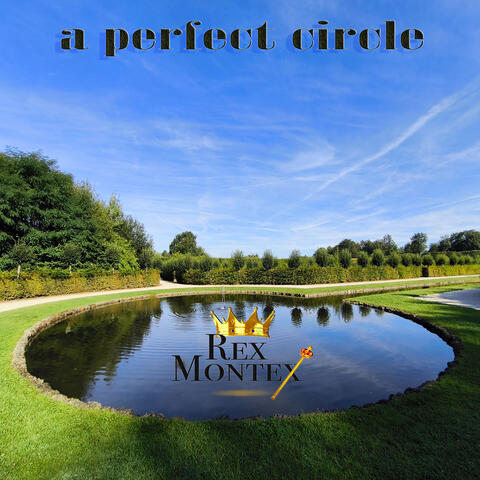 A Perfect Circle