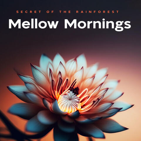 Mellow Mornings