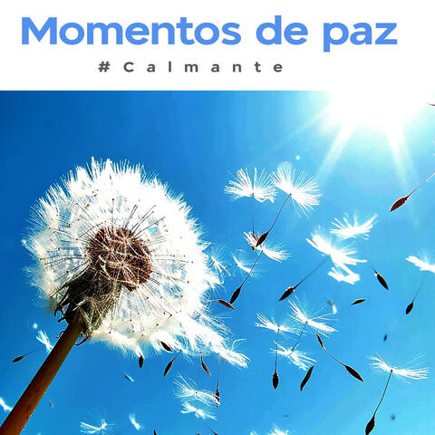 Momentos de paz