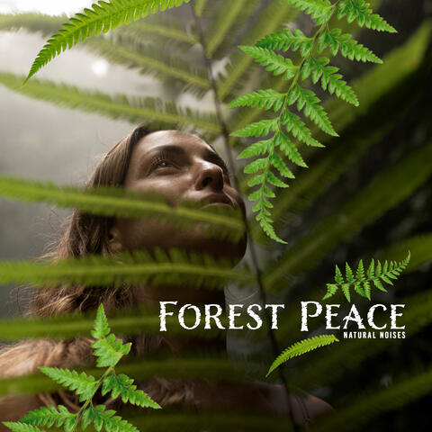 Forest Peace