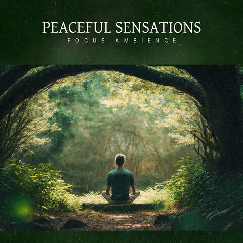 Peaceful Sensations