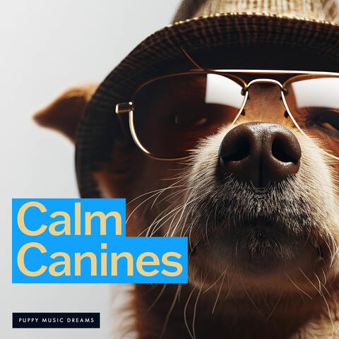 Calm Canines