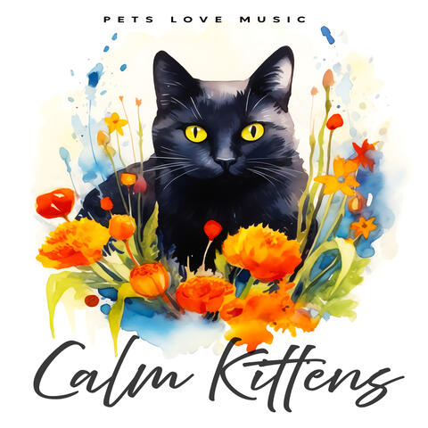 Calm Kittens