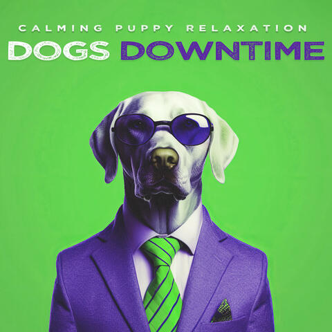 Dogs Downtime
