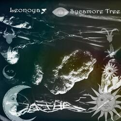 Sycamore Tree