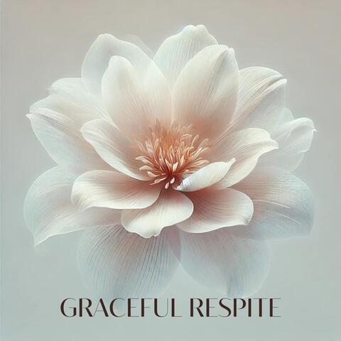 Graceful Respite: Sphere of Soothing Balance