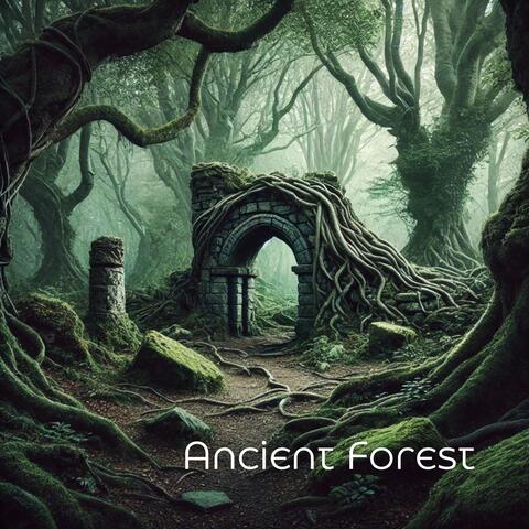 Ancient Forest