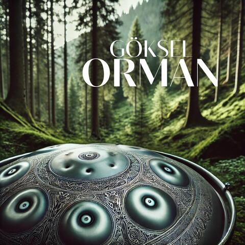 Göksel Orman: Hang Drum Melodileri ile Orman Havası