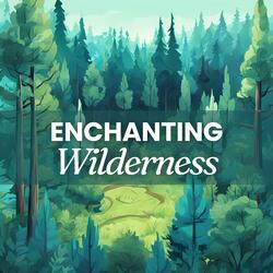 Harmonic Echoes of the Woods