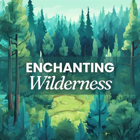 Enchanting Wilderness: Soothing Forest Melodies for Ultimate Relaxation