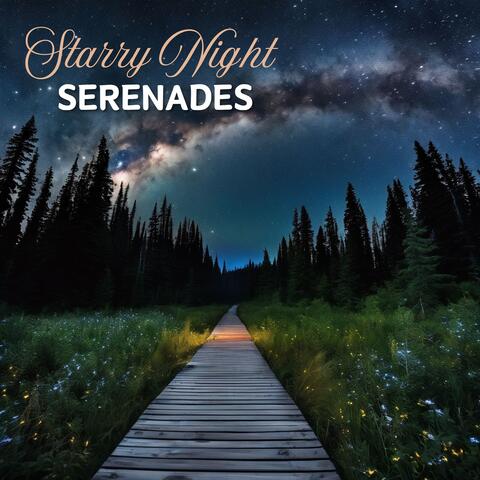 Starry Night Serenades: Mindful Melodies for Sleep & Relaxation