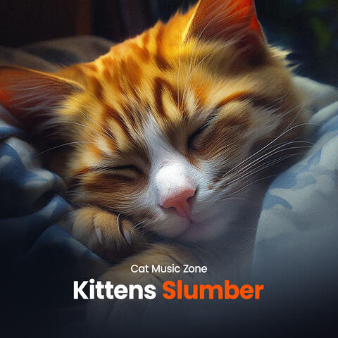 Kittens Slumber