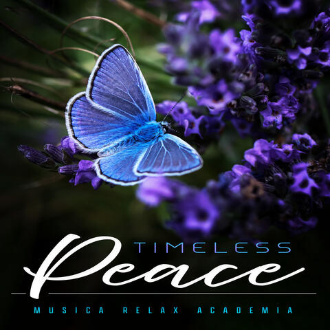 Timeless Peace