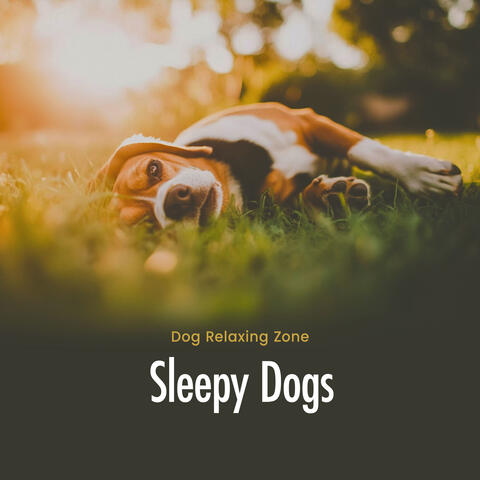 Sleepy Dogs