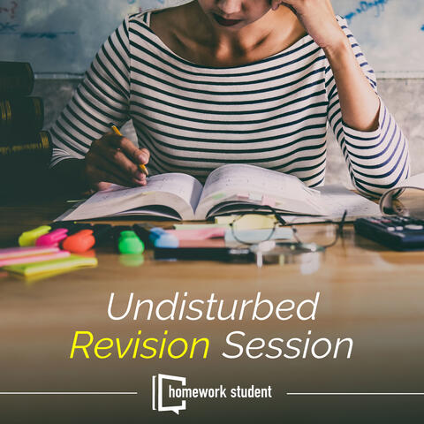 Undisturbed Revision Session