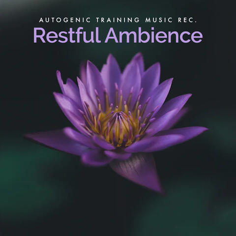 Restful Ambience