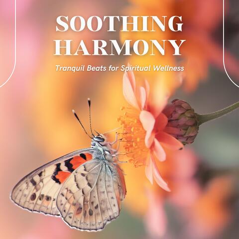 Soothing Harmony: Tranquil Beats for Spiritual Wellness